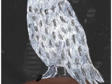 Wyniki konkursu Portret sowy, 